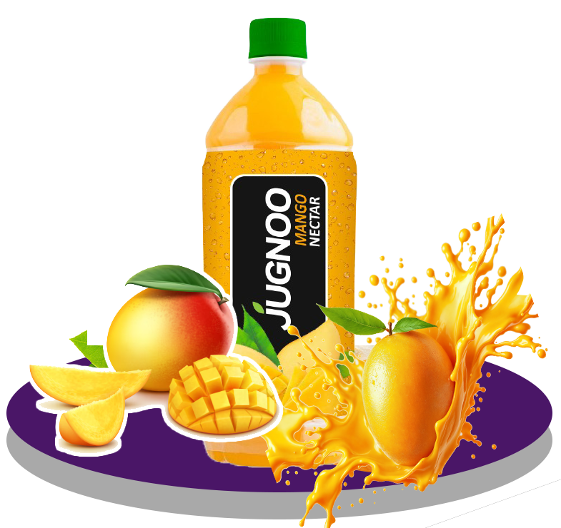 About Jugnoo Foods - Juice Manufacturing Facility in Multan